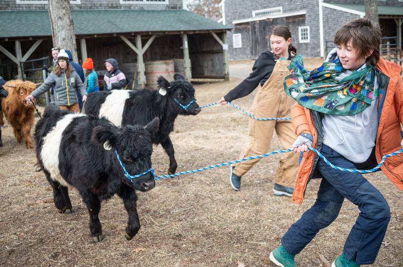 Wrenn Robertson and Penny Athearn let their cows out of the pen.