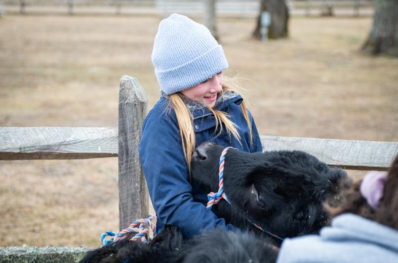 Leona Maloney feels the love while brushing the cows.