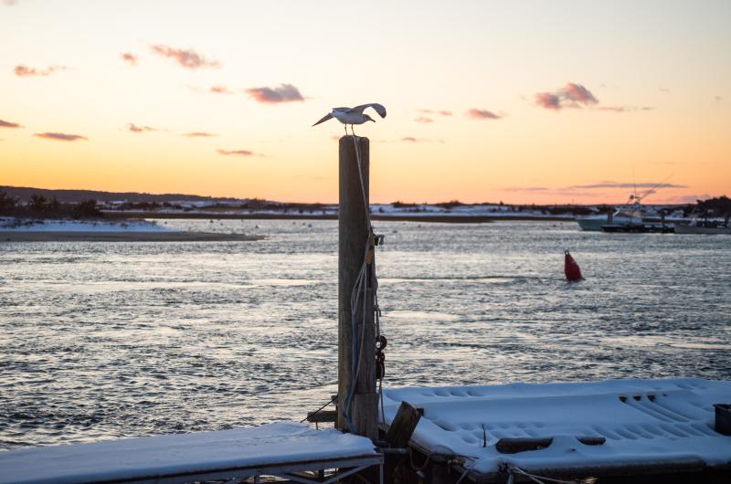 No applause for this sunset, just gull cries and channel marker bells.