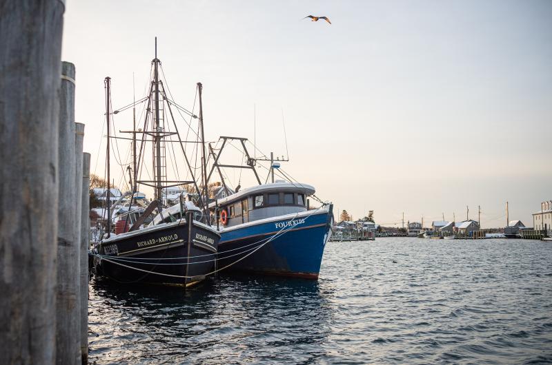 The Richard Arnold and the Four Kids wait in Menemsha harbor.