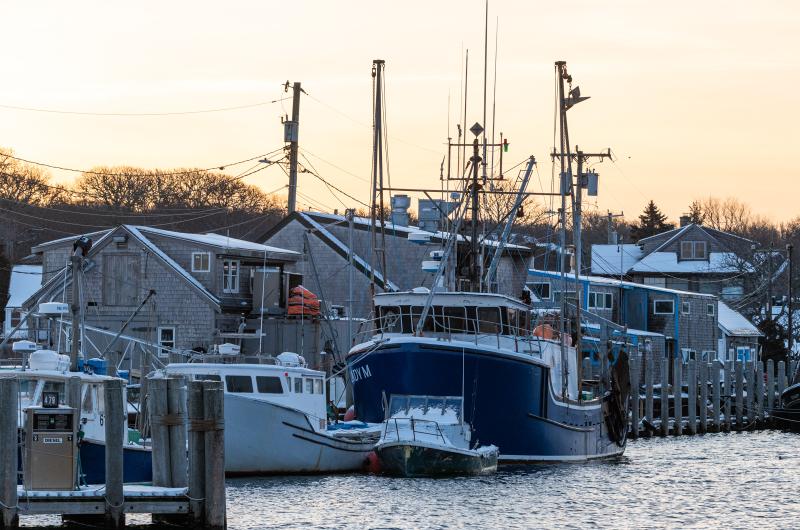 The fishing fleet tied up at the Dutcher Dock.