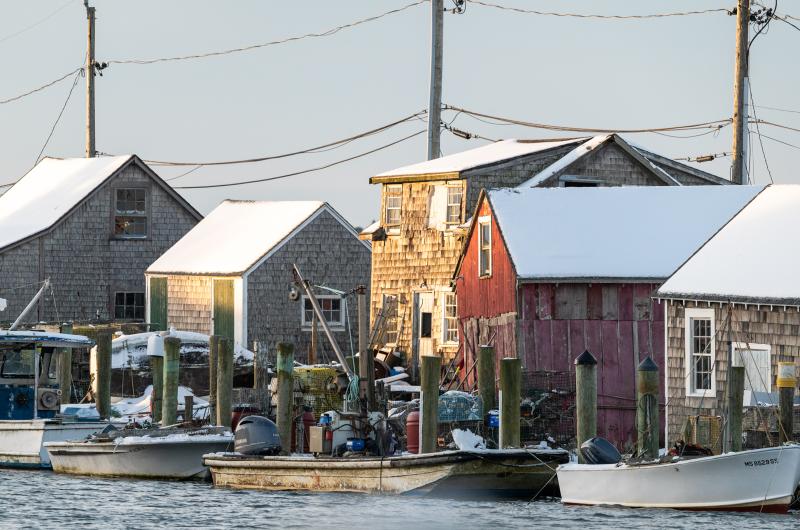 Early morning light on Menemsha harbor.